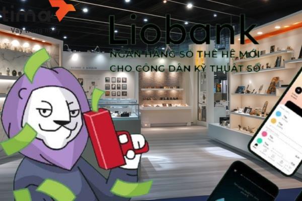 Hơn nữa, nền tảng hợp tác với các chuỗi bán lẻ lớn để cung cấp hạn mức trả góp riêng